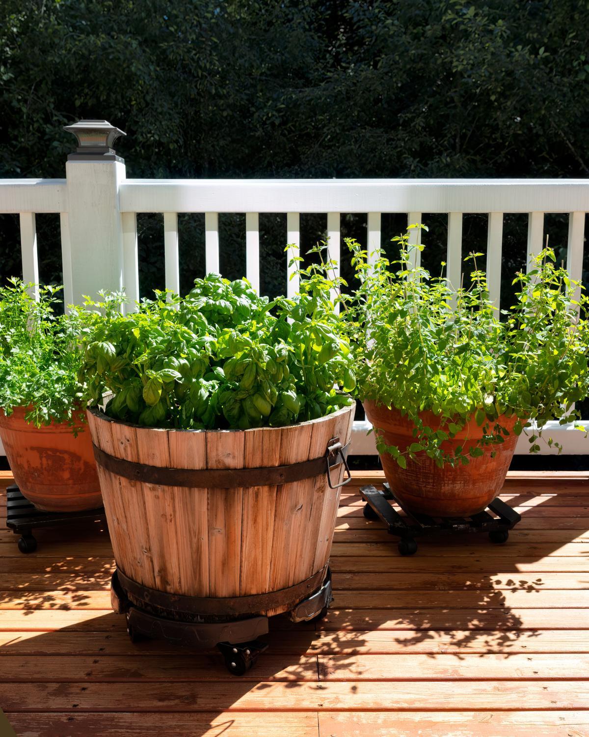 cheap planter ideas 02
