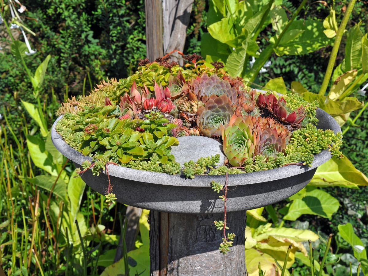 cheap planter ideas 03