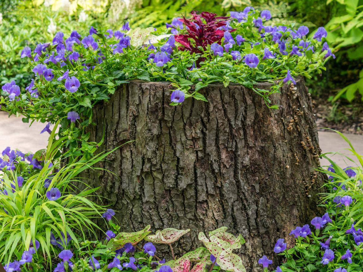cheap planter ideas 11