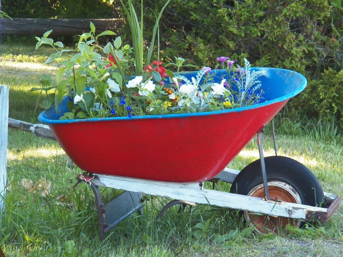 cheap planter ideas 14