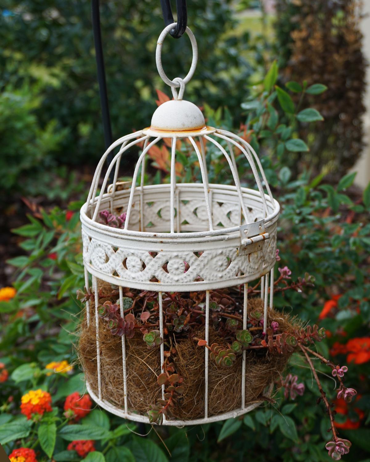 cheap planter ideas 16