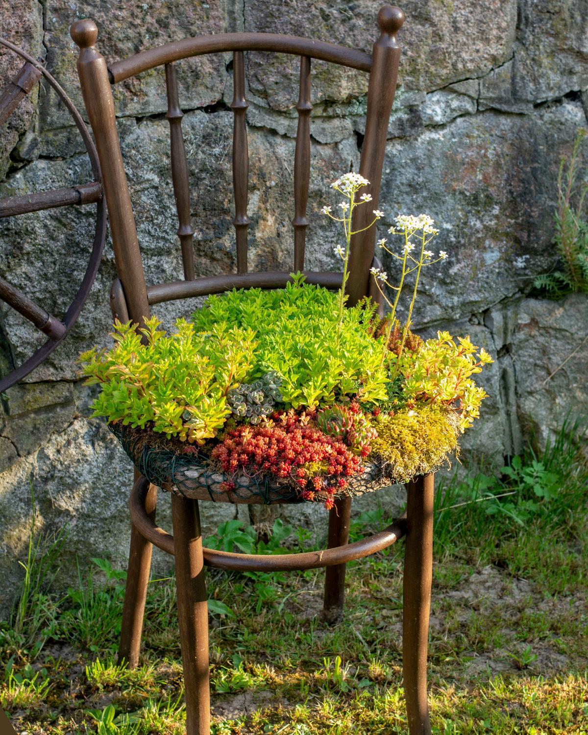 cheap planter ideas 17
