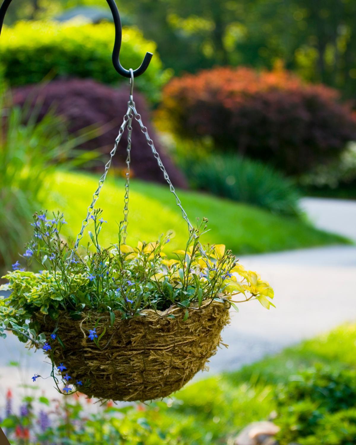 cheap planter ideas 20