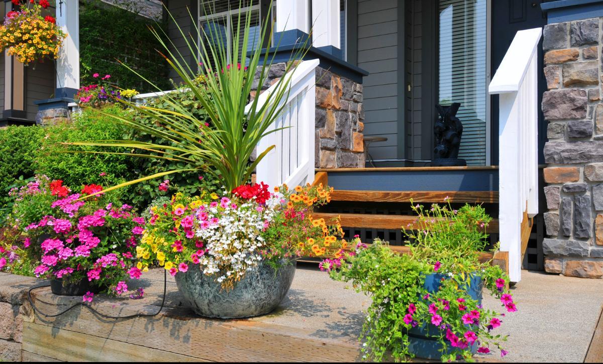 planter garden