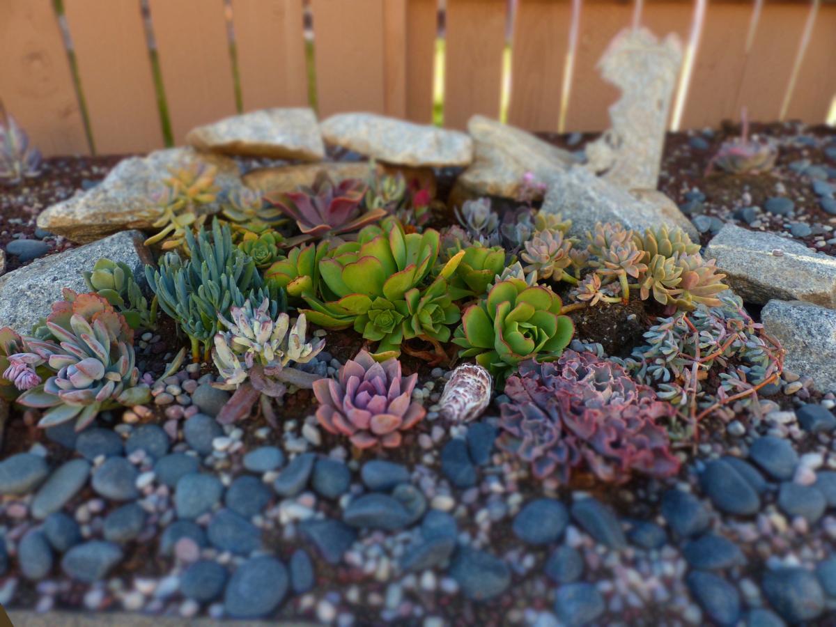 cheap rock landscaping ideas 04