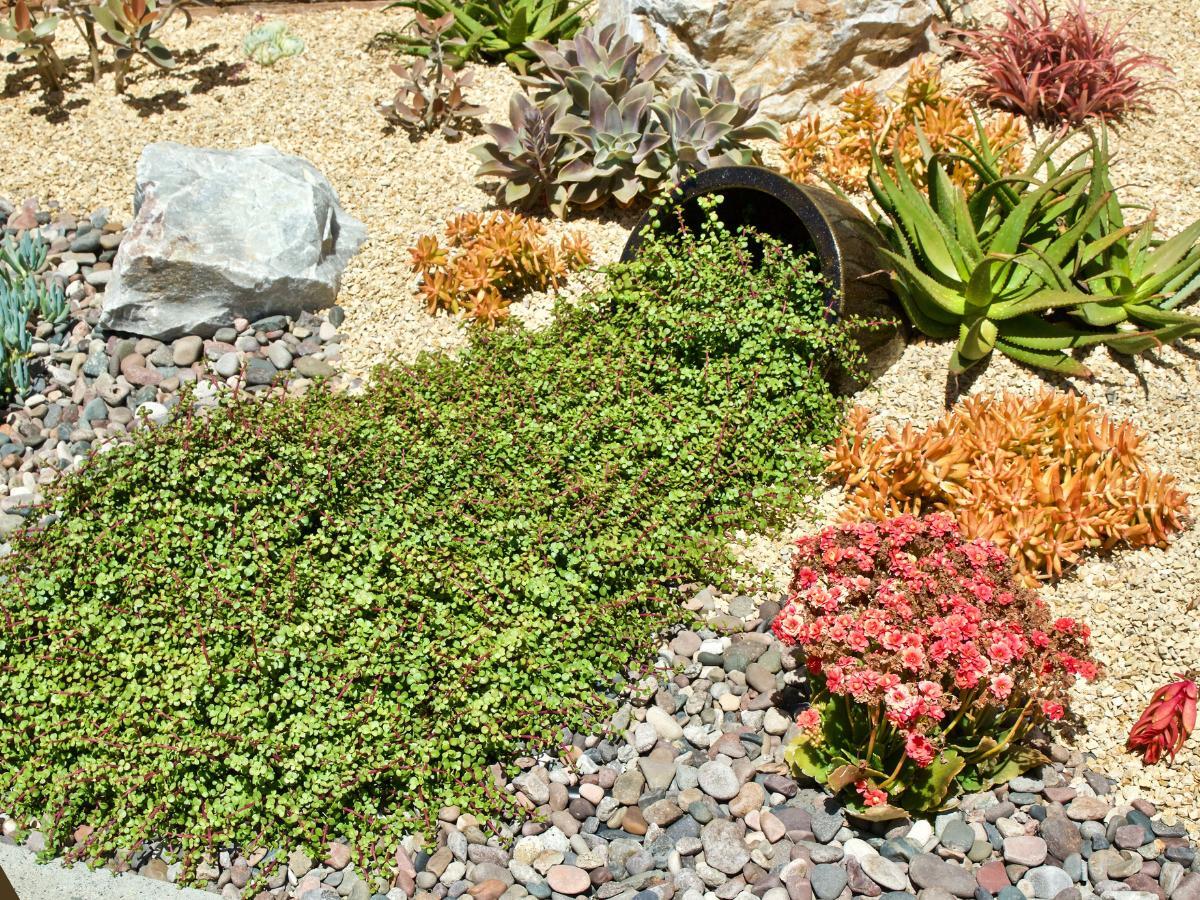 cheap rock landscaping ideas 09