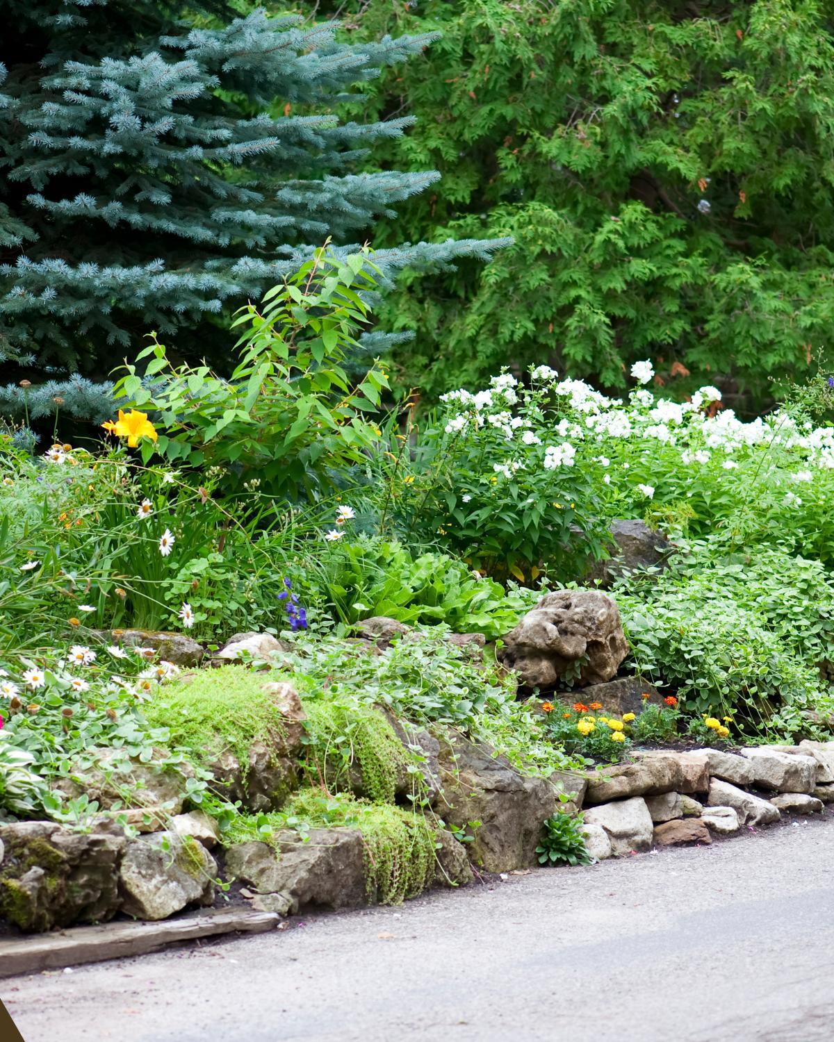 cheap rock landscaping ideas 11