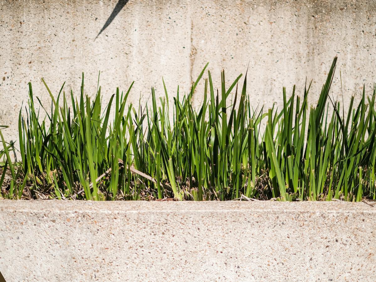 cheap rock landscaping ideas 12