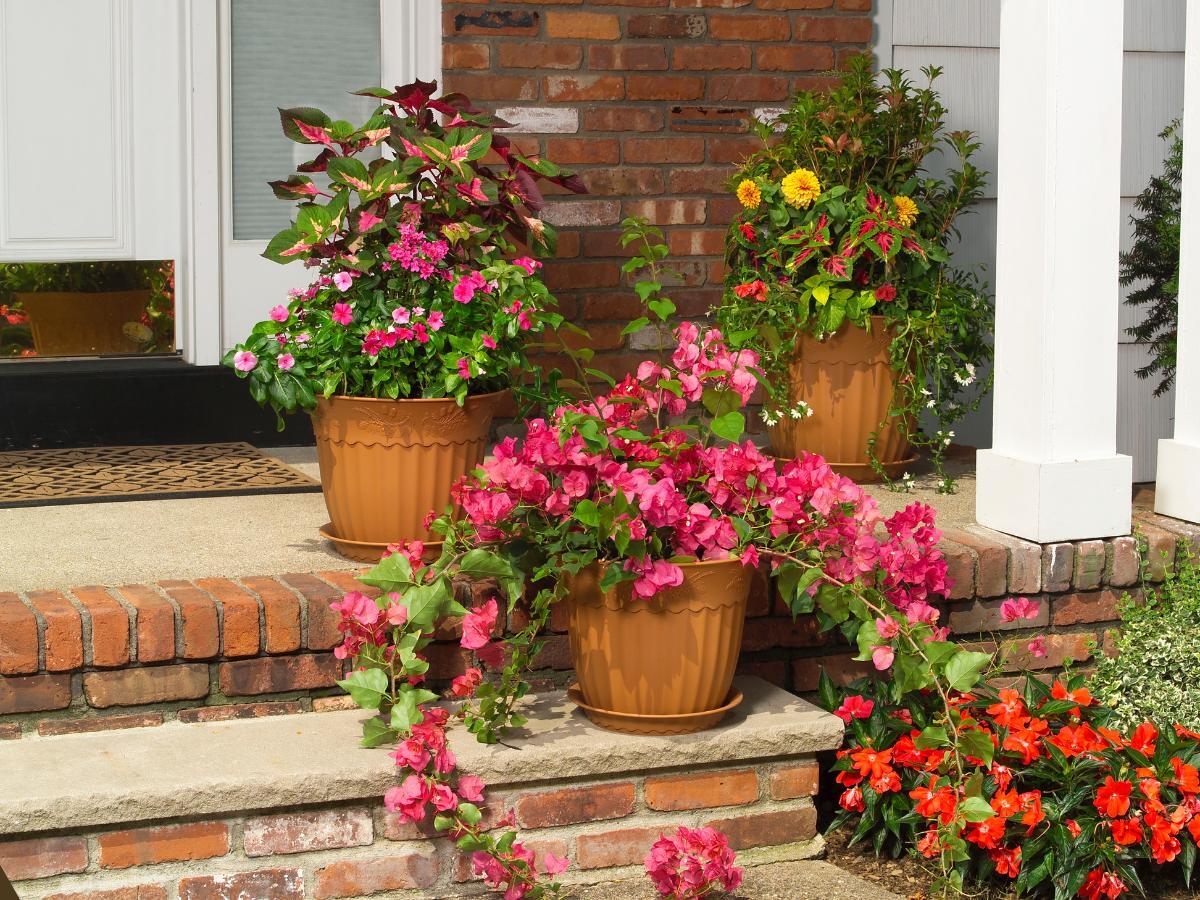 front yard updates that look expensive 17