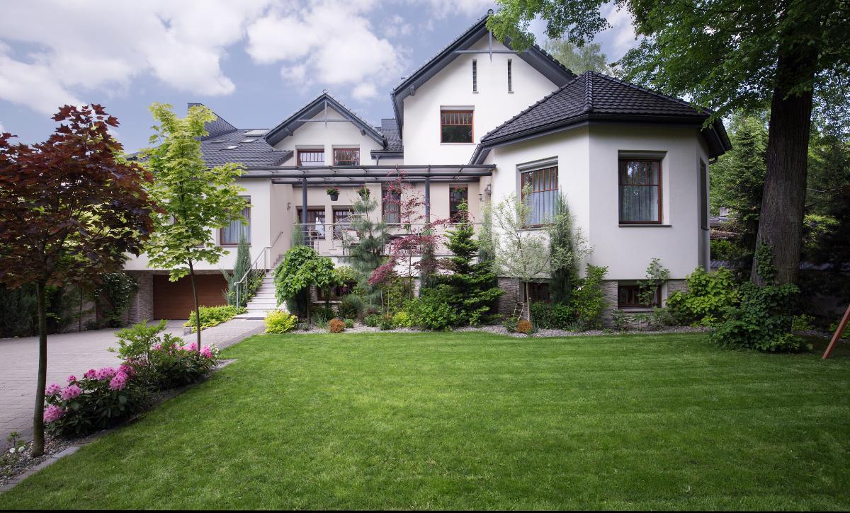 front yard
