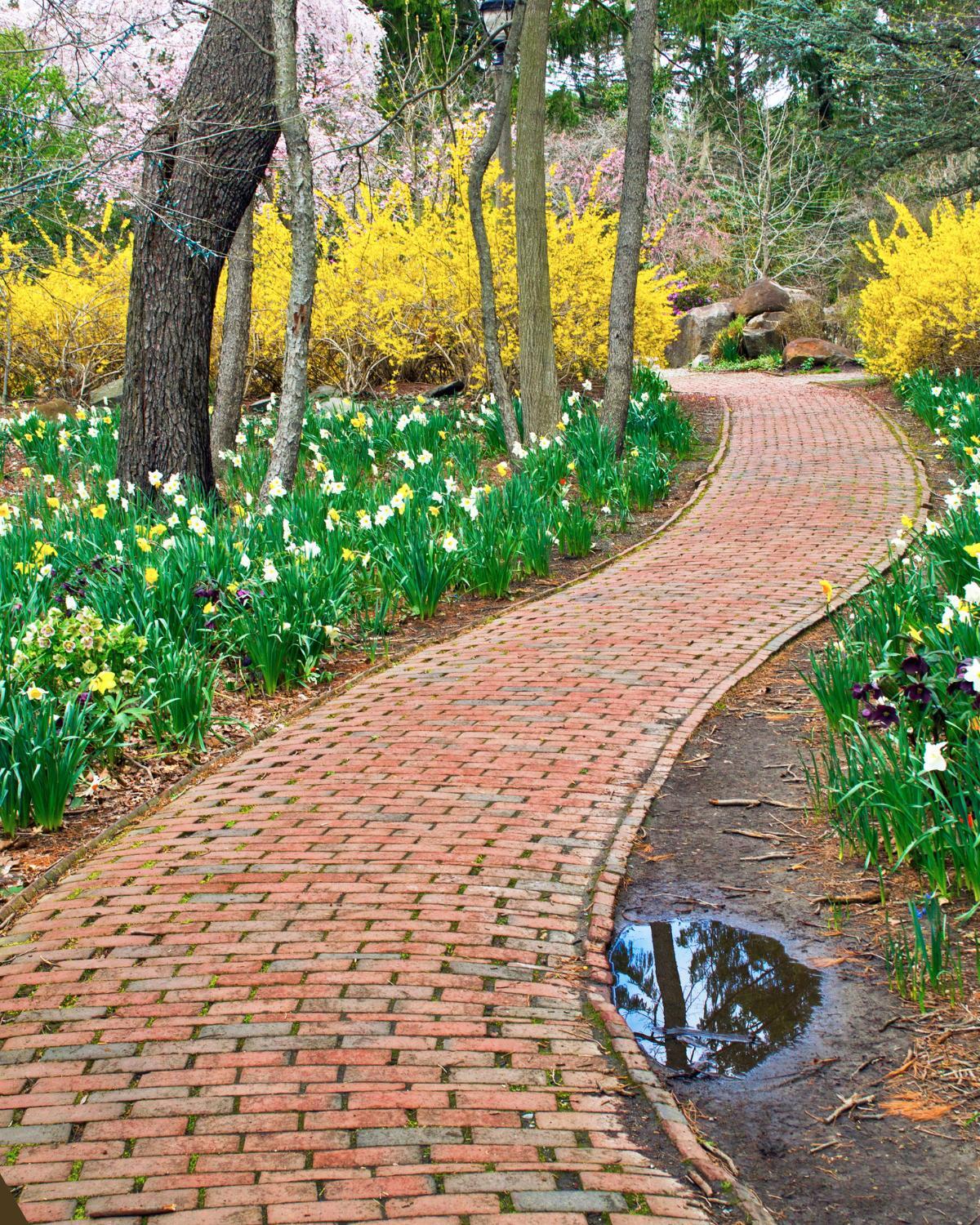 low cost garden path fixes 03