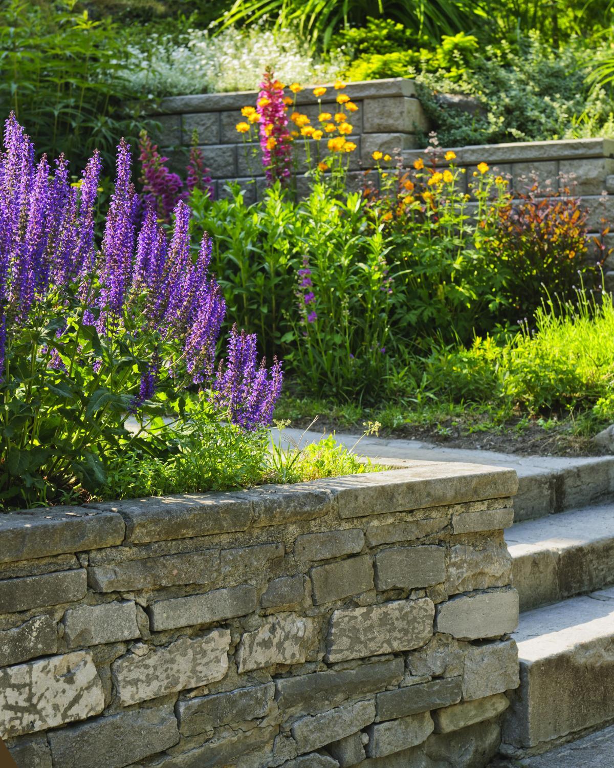 low cost garden path fixes 10