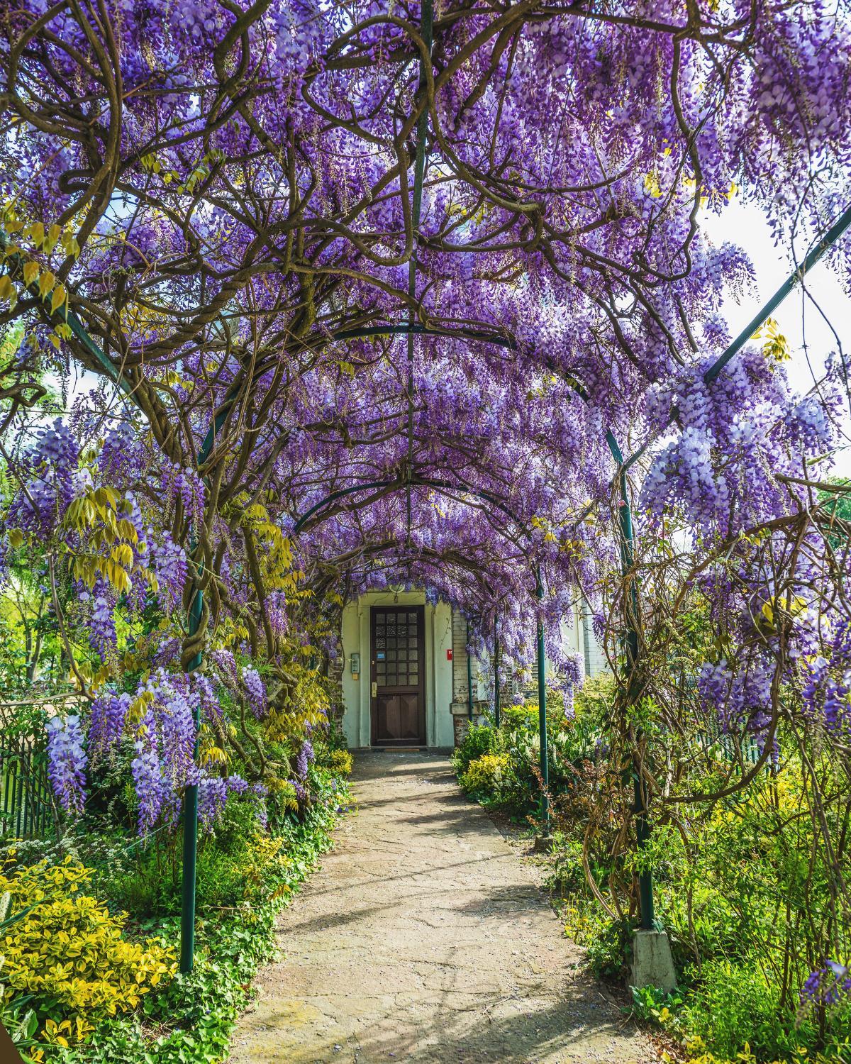low cost garden path fixes 20