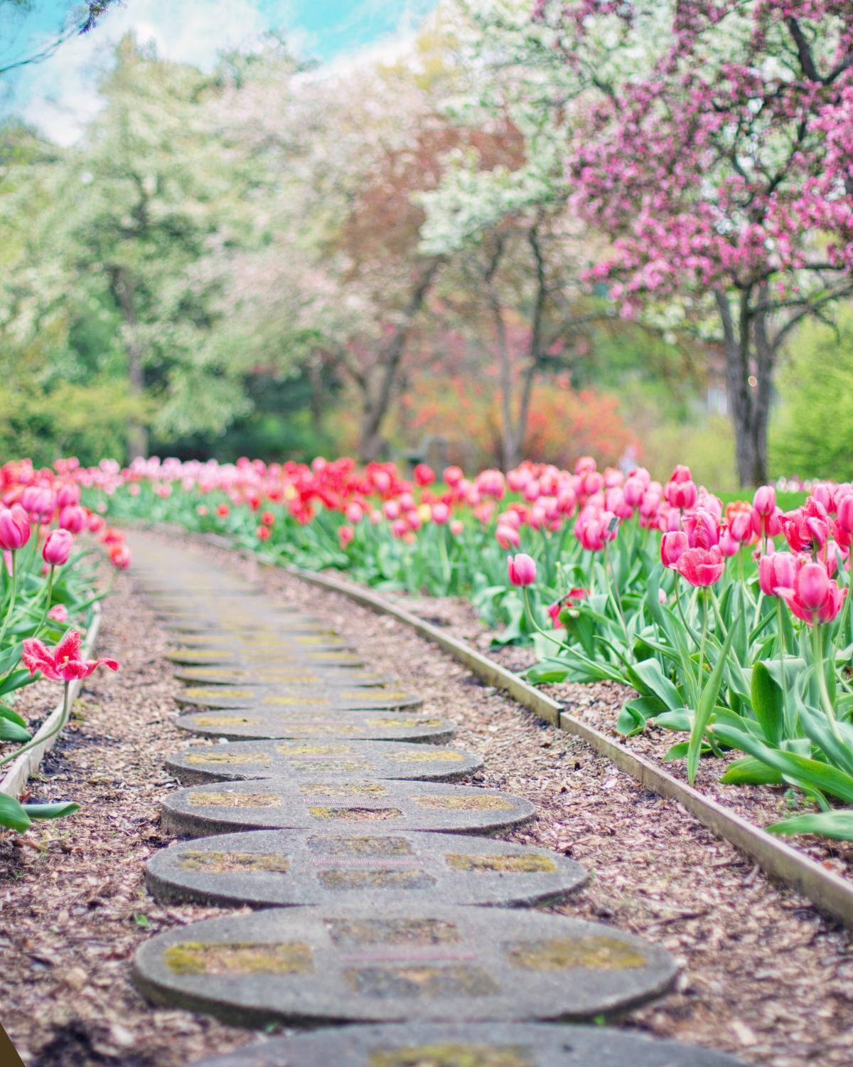 low cost garden path fixes 23