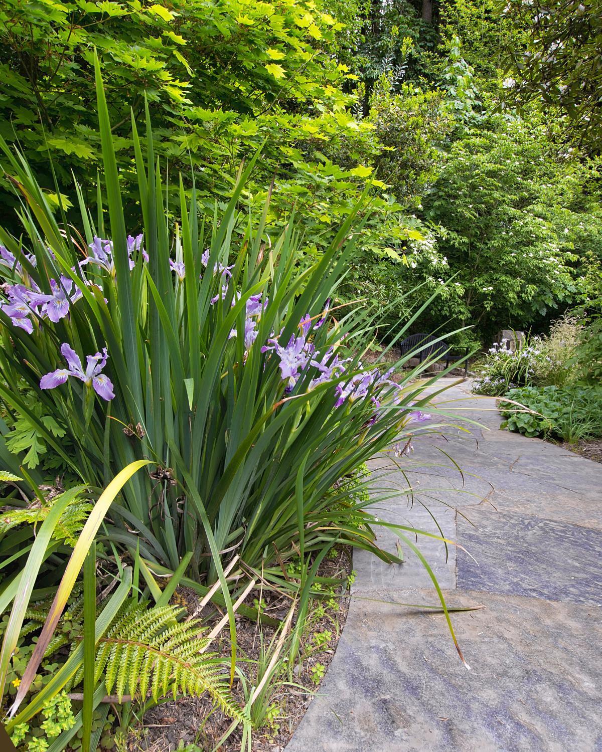 low cost garden path fixes 25
