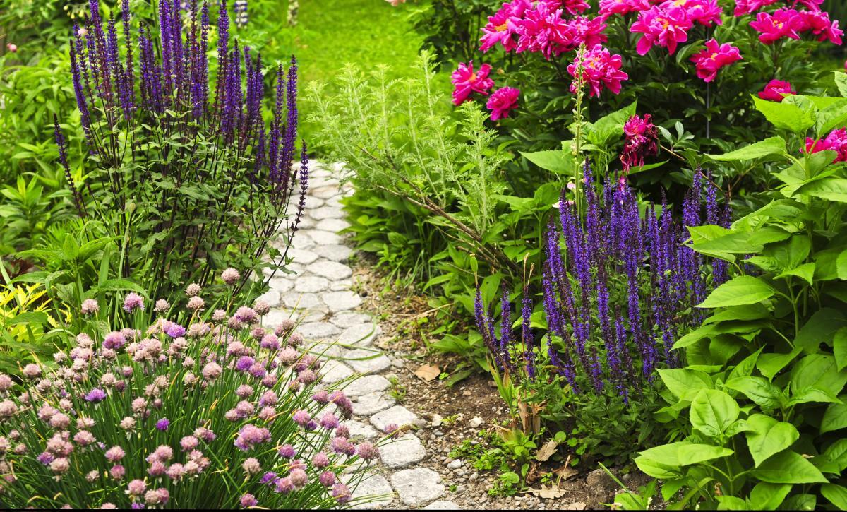 narrow garden path