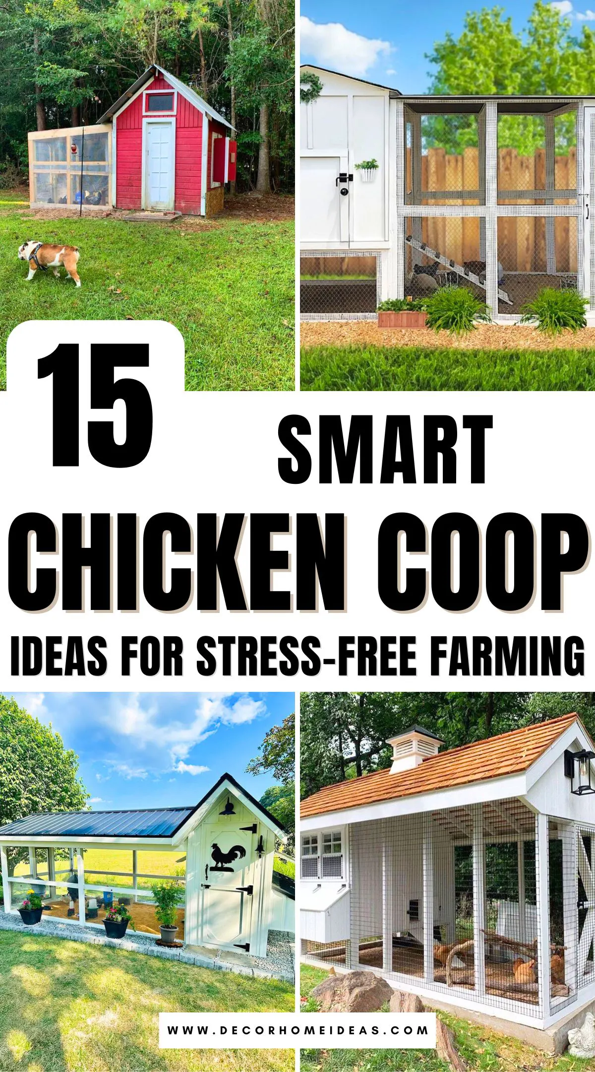 Ready to raise your own flock? Discover 15 practical chicken coop designs perfect for beginner backyard farmers. From compact urban setups to spacious rustic shelters, these plans cover all the essentials for happy, healthy hens. Find the right fit for your yard and budget! 🐓🏡