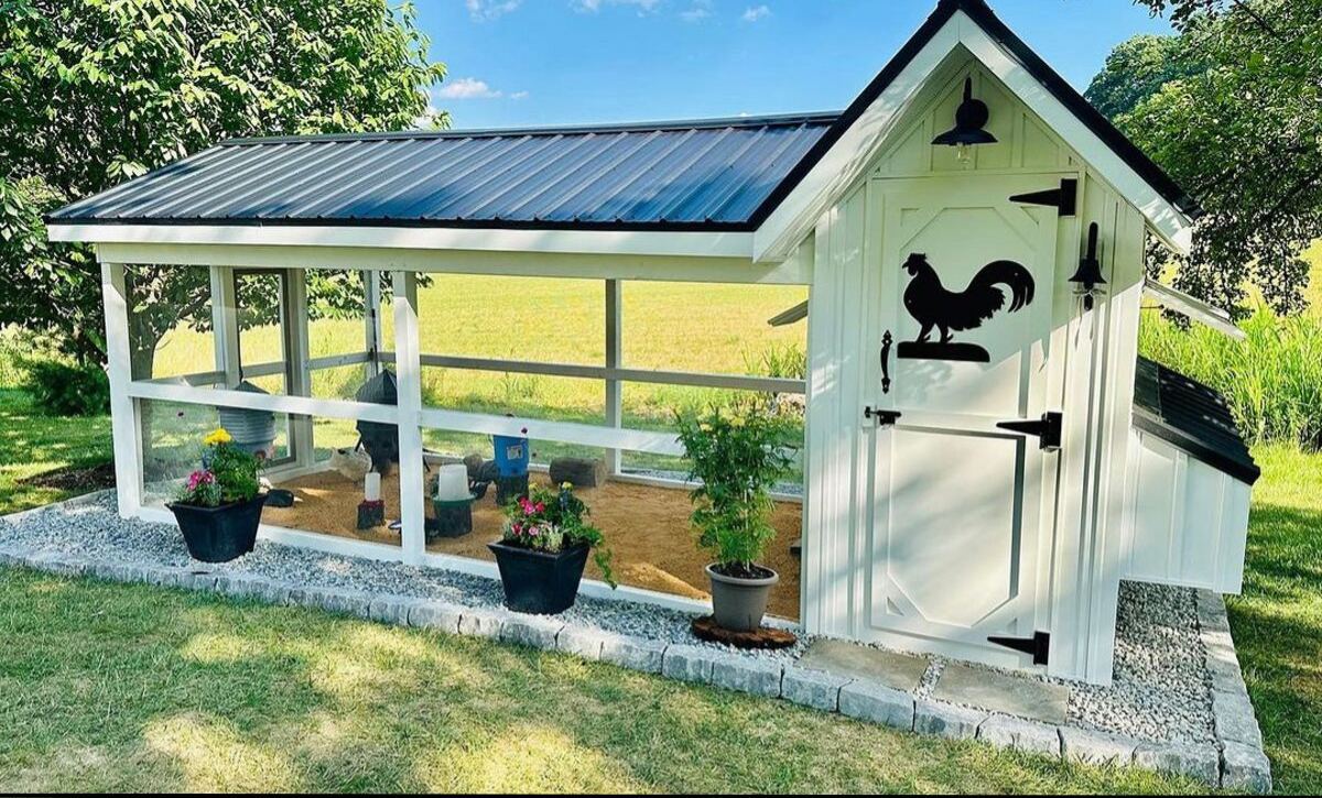 simple chicken coop designs