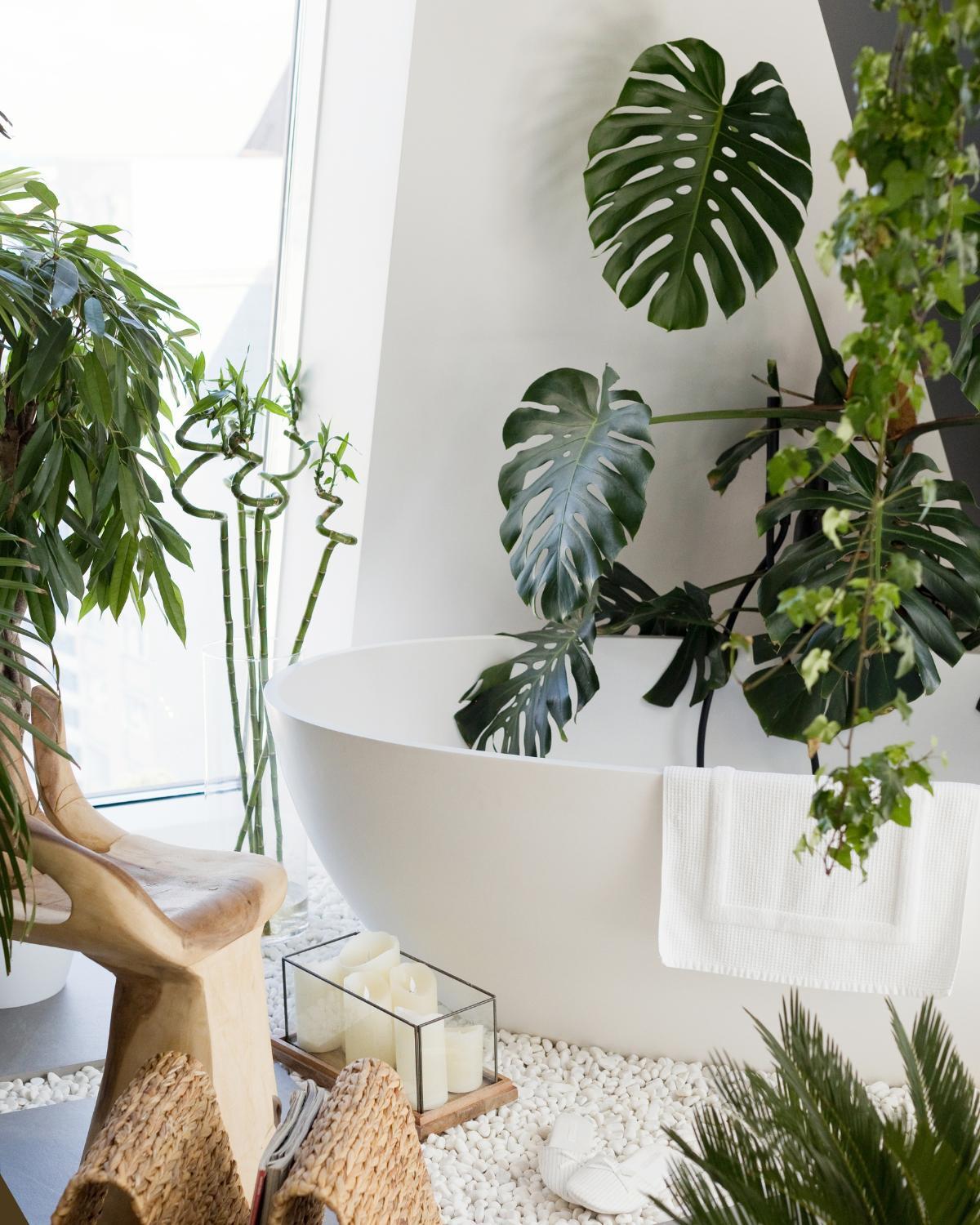 inexpensive ways to display plants 02