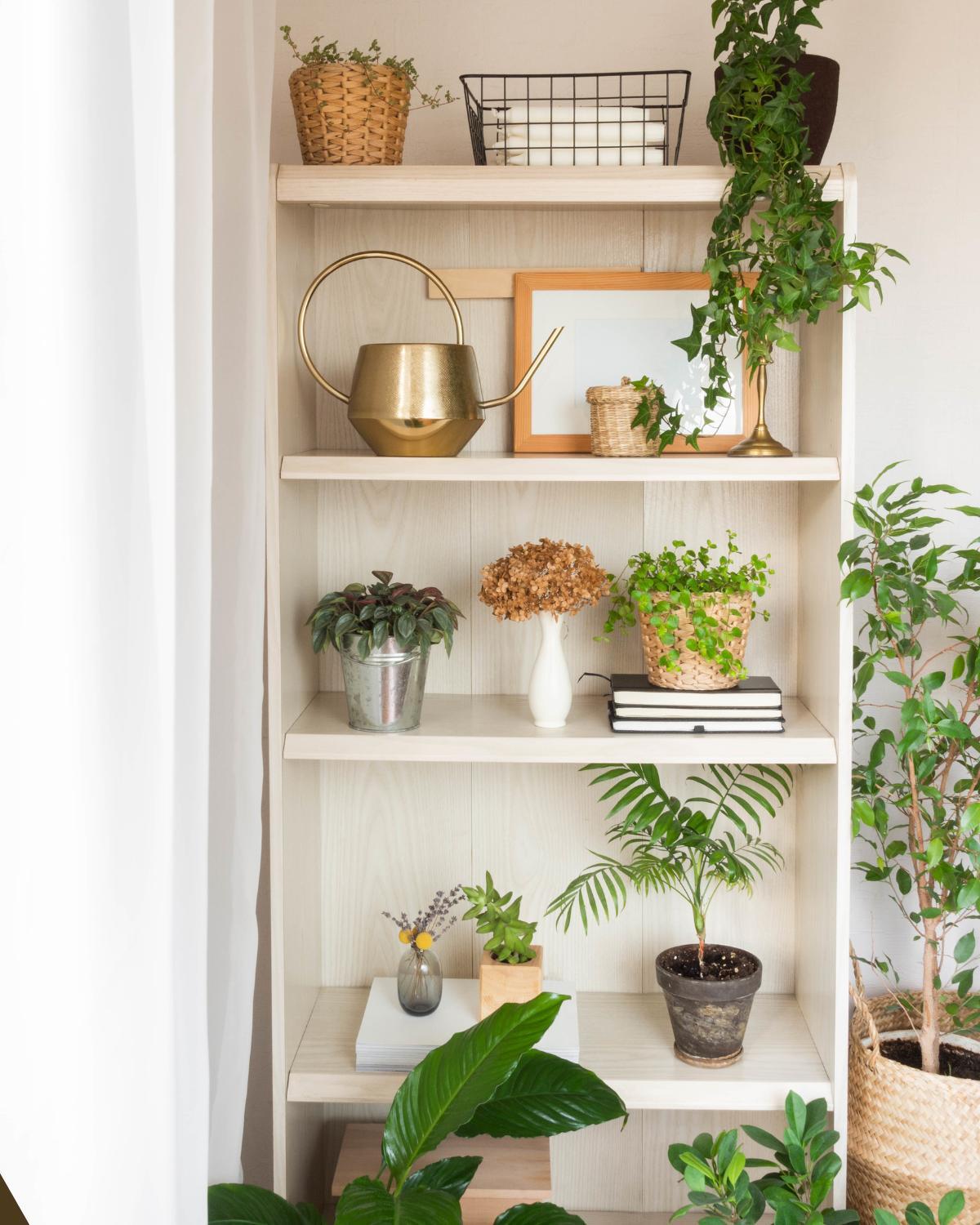 inexpensive ways to display plants 03