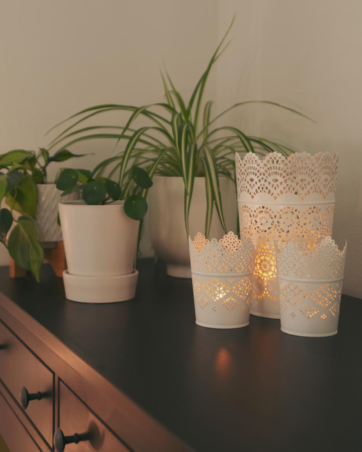 inexpensive ways to display plants 06