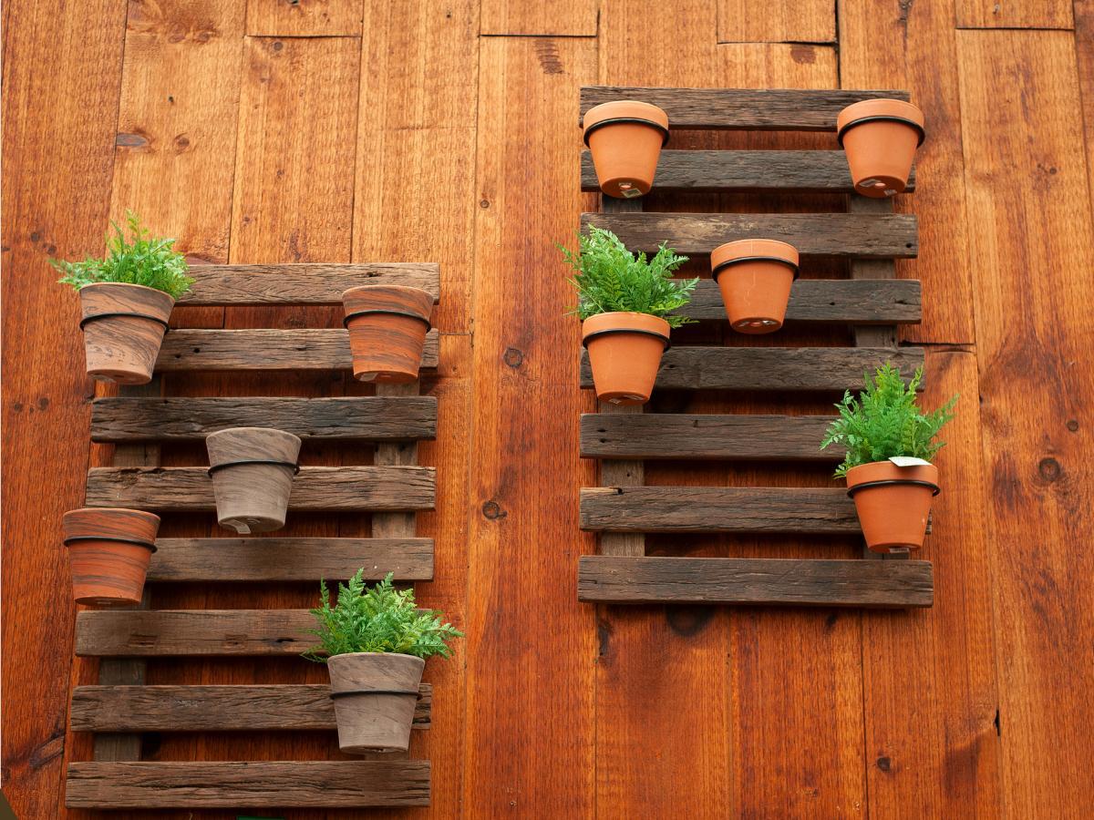 inexpensive ways to display plants 07