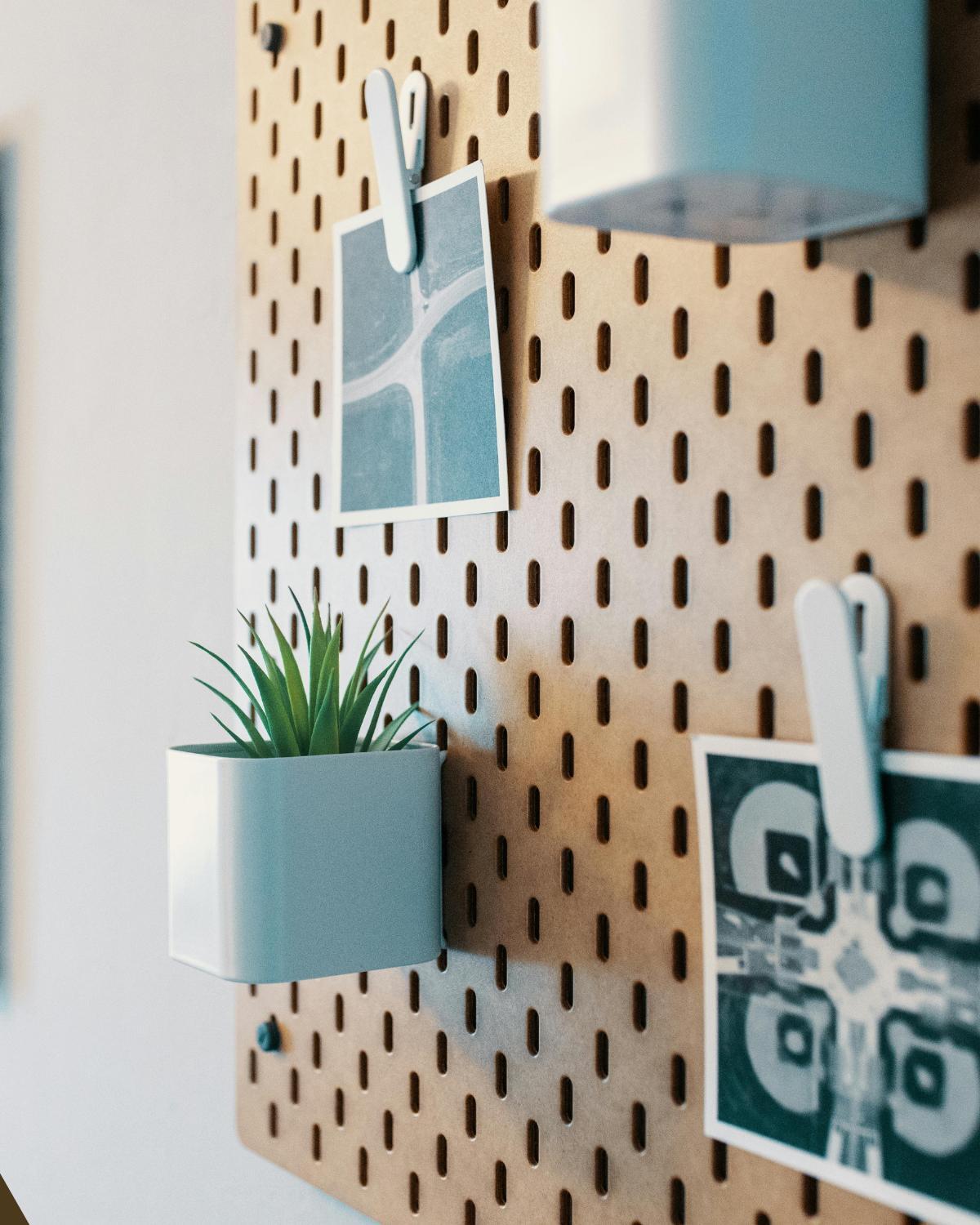 inexpensive ways to display plants 10