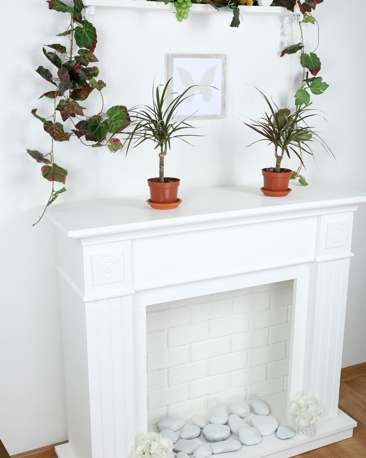 inexpensive ways to display plants 11
