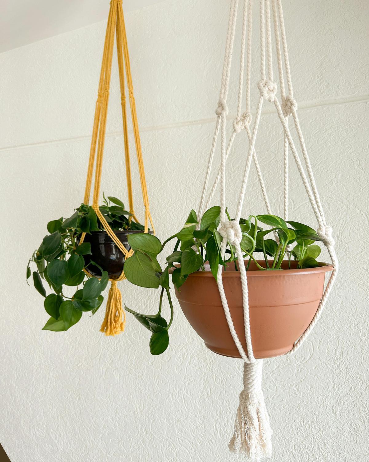 inexpensive ways to display plants 12