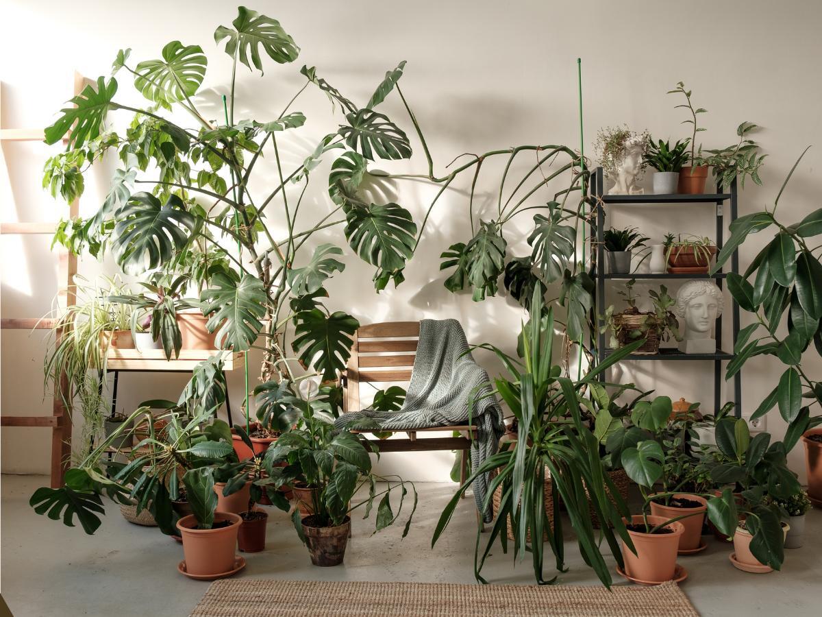inexpensive ways to display plants 14