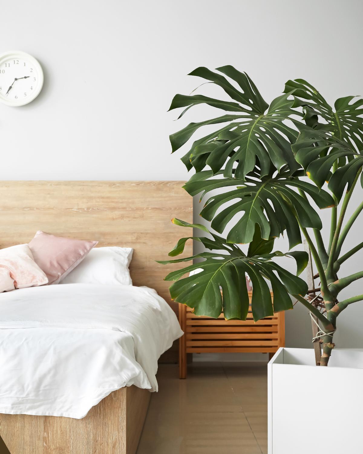 inexpensive ways to display plants 17