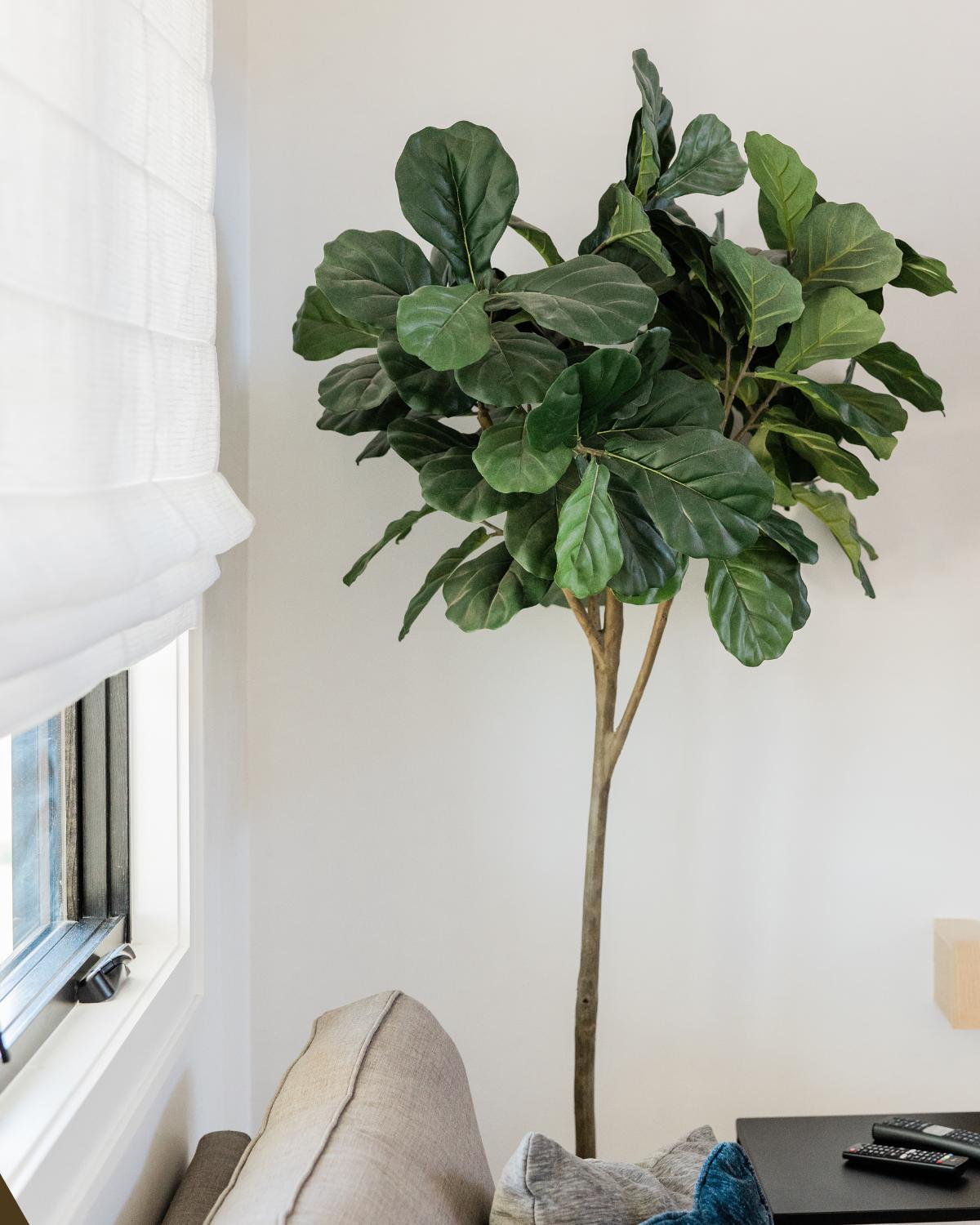 inexpensive ways to display plants 20