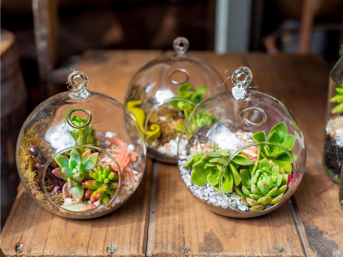 inexpensive ways to display plants 22