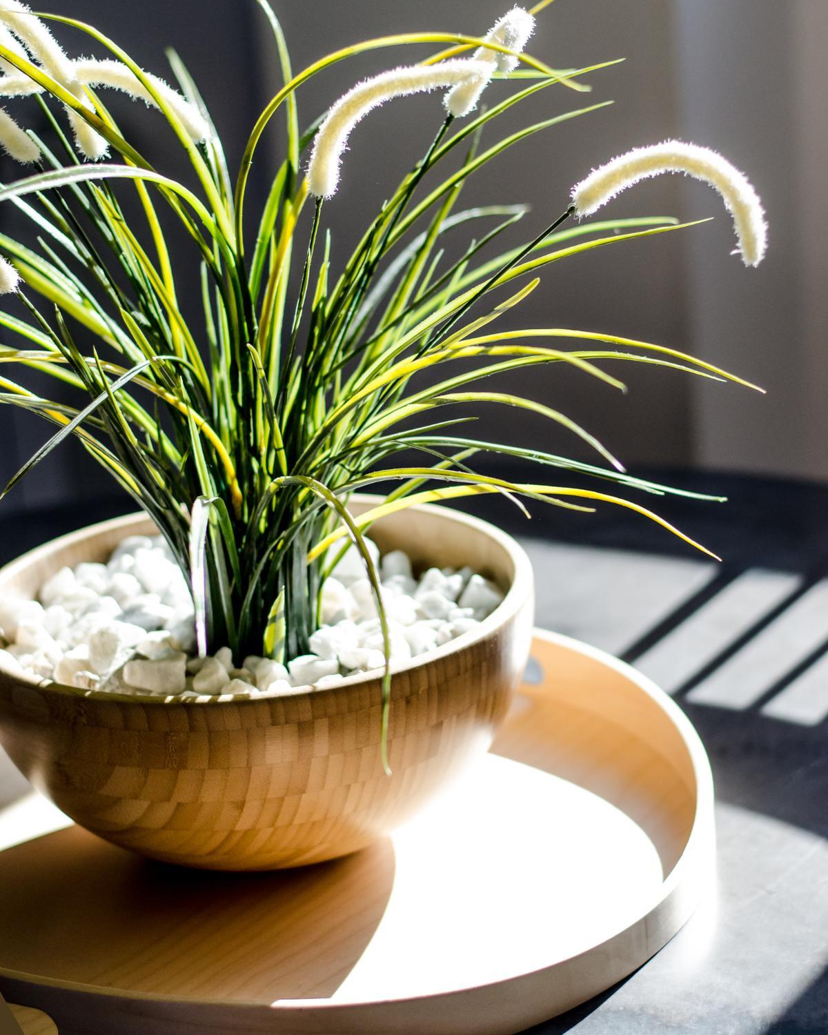 inexpensive ways to display plants 23