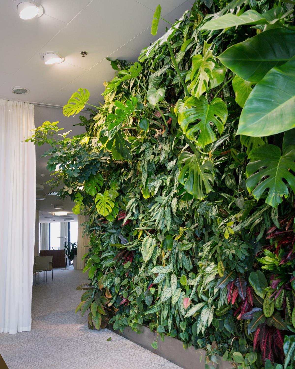 inexpensive ways to display plants 24