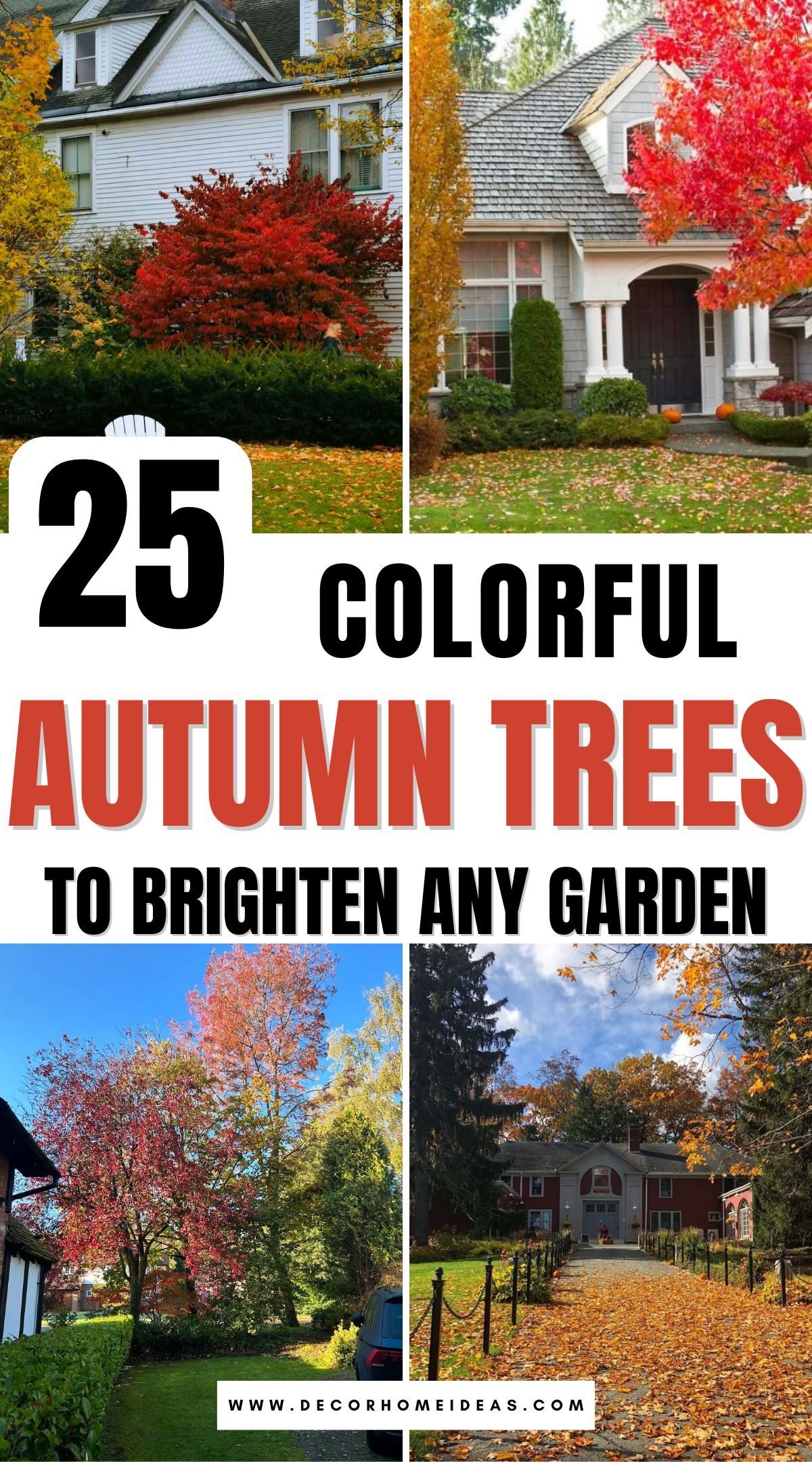 landscape with autumn trees 2