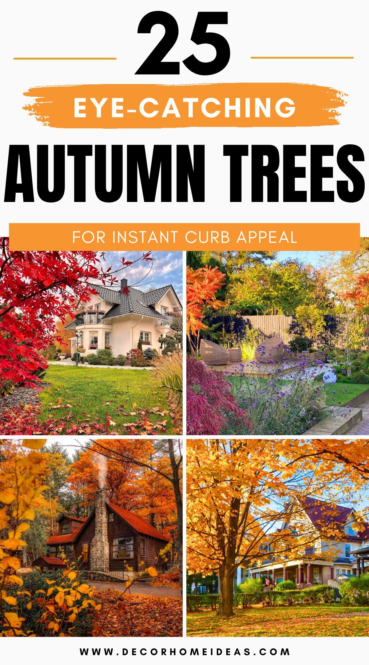 landscape with autumn trees 4