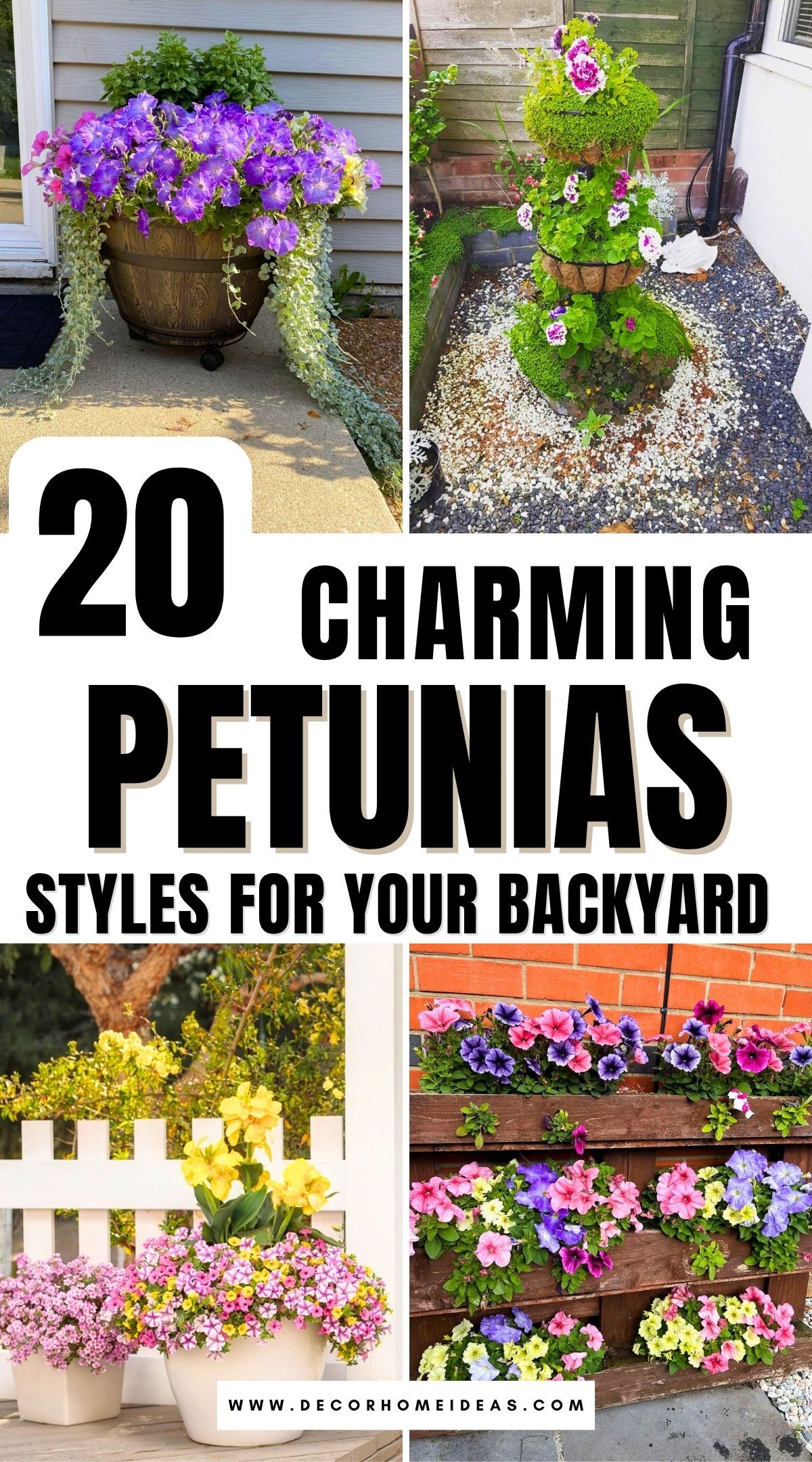 petunias layout ideas 2