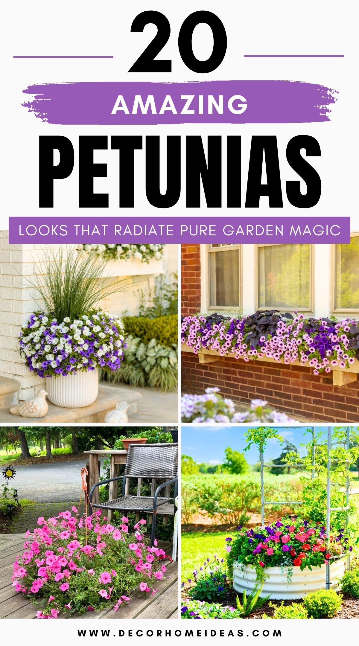 petunias layout ideas 3