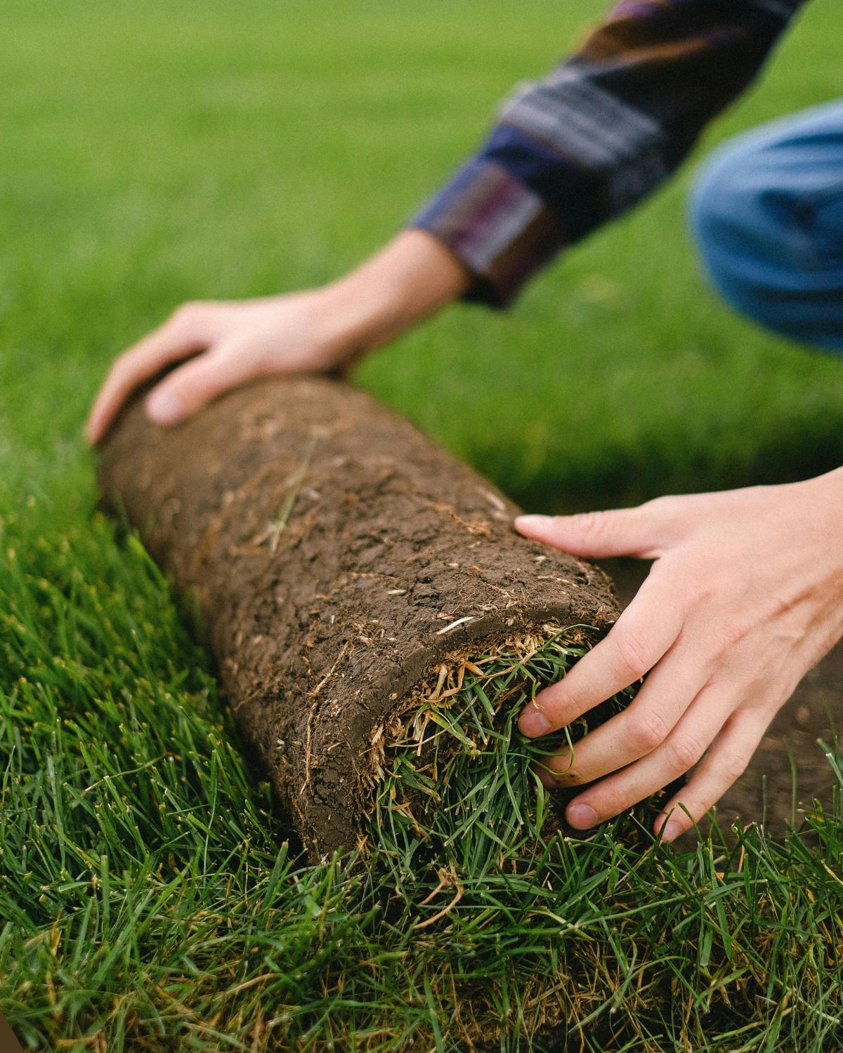common landscaping mistakes and how to avoid them 02