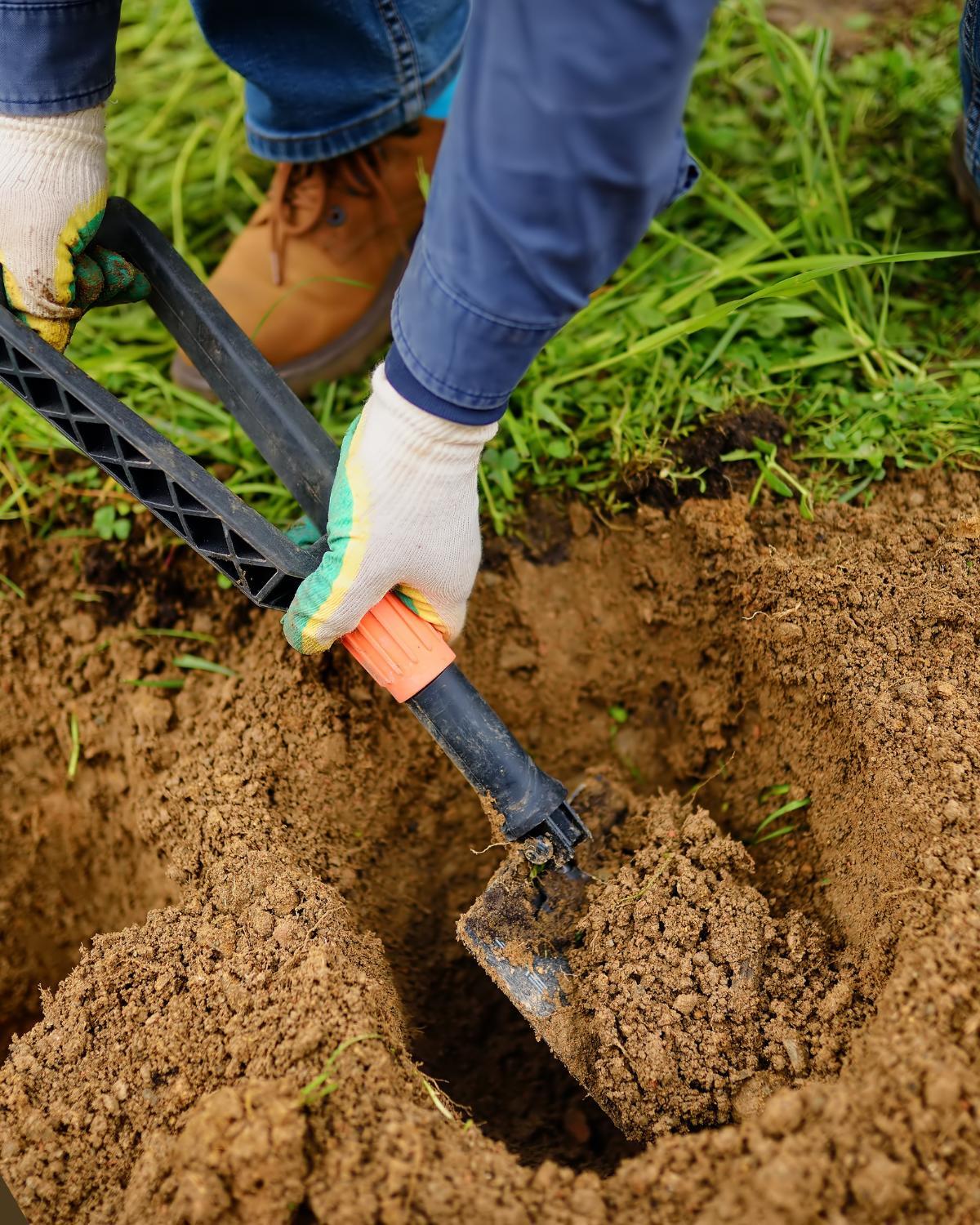 common landscaping mistakes and how to avoid them 10
