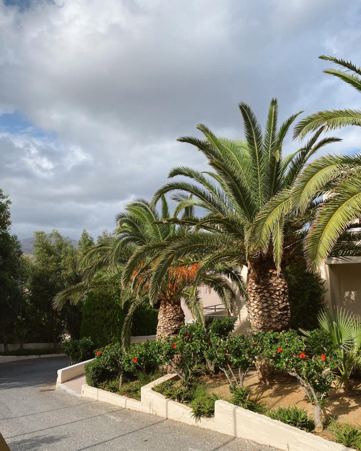 common landscaping mistakes and how to avoid them 11