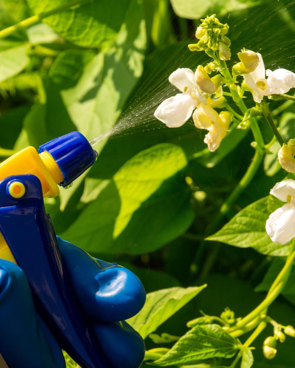 common landscaping mistakes and how to avoid them 12