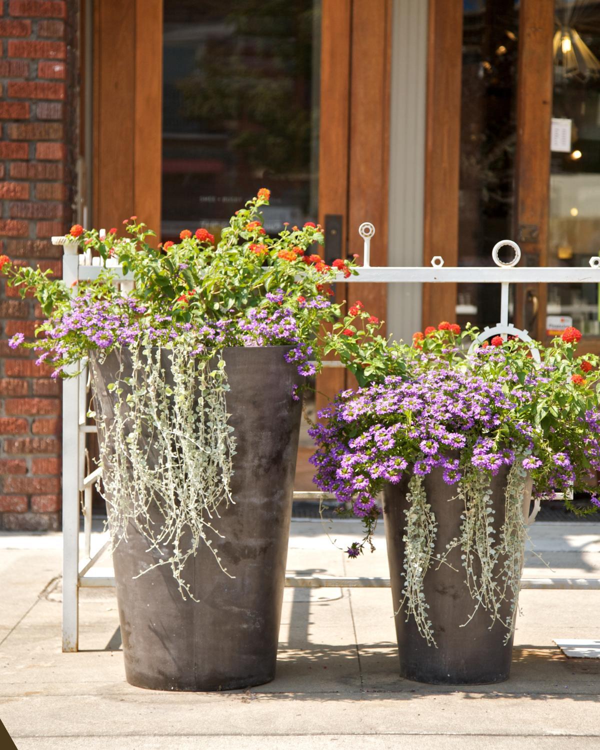 common landscaping mistakes and how to avoid them 14