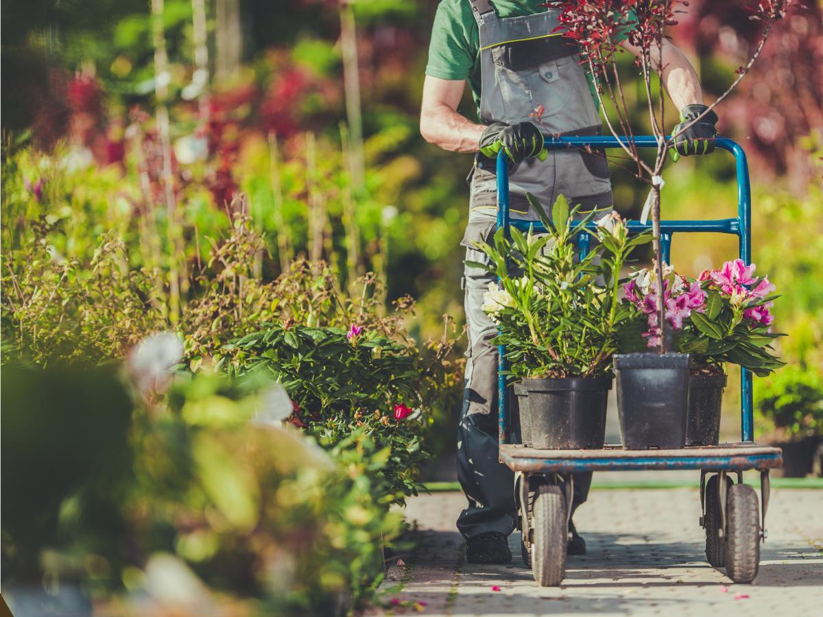 common landscaping mistakes and how to avoid them 17