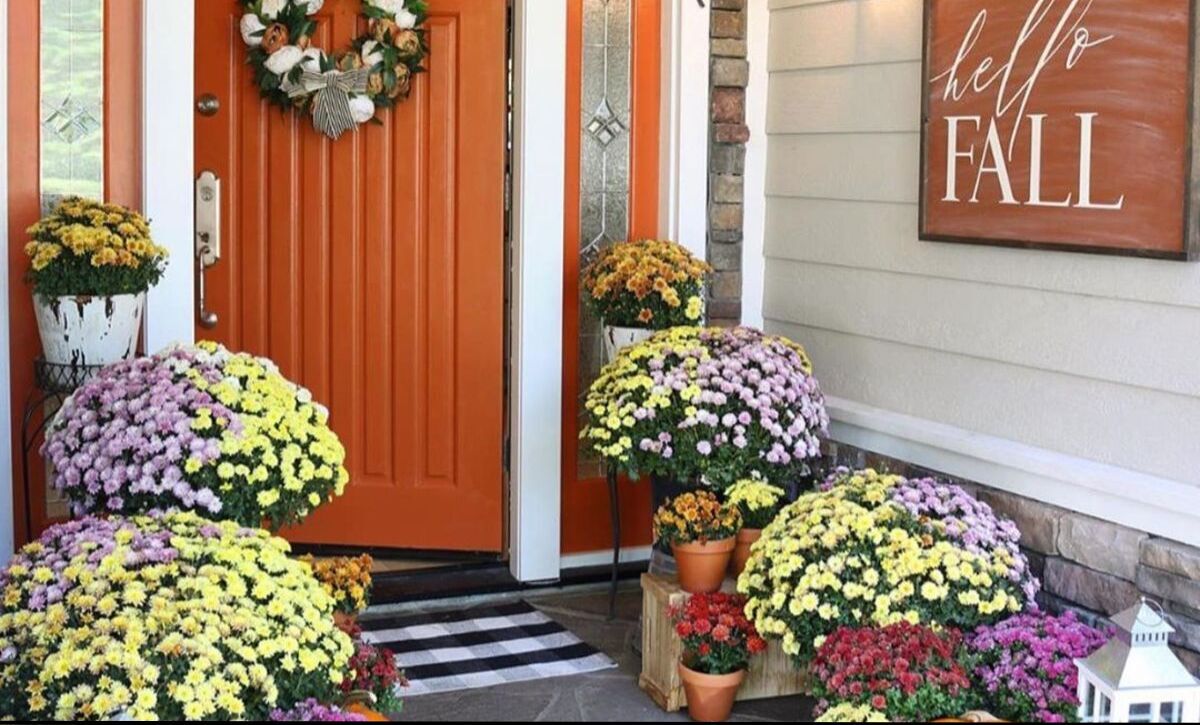 best mums front porch displays