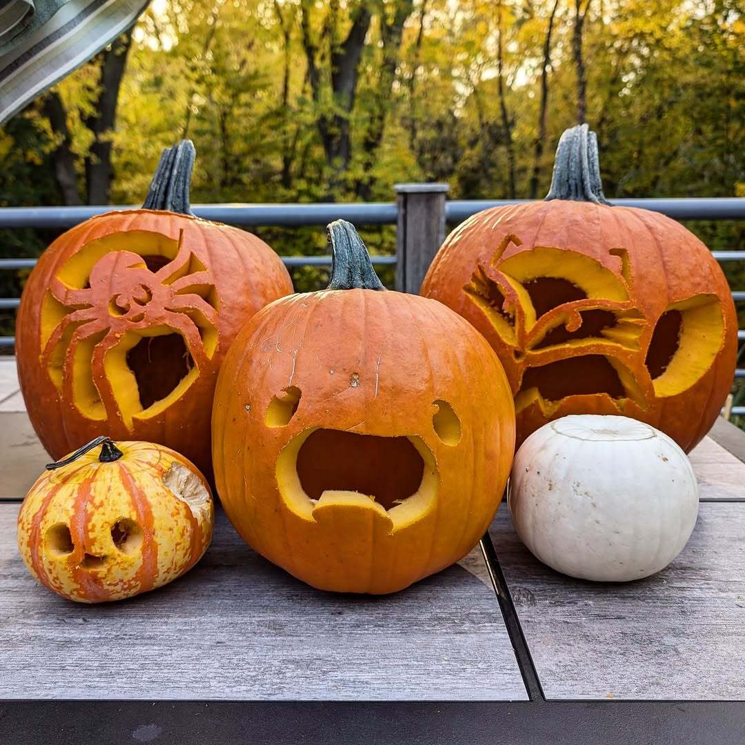 carved pumpkin ideas 2