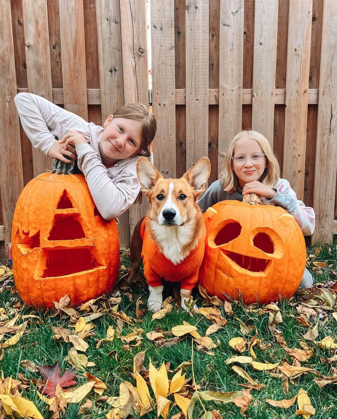 cute pumpkin carving 2