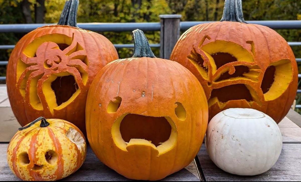 best carved pumpkin ideas