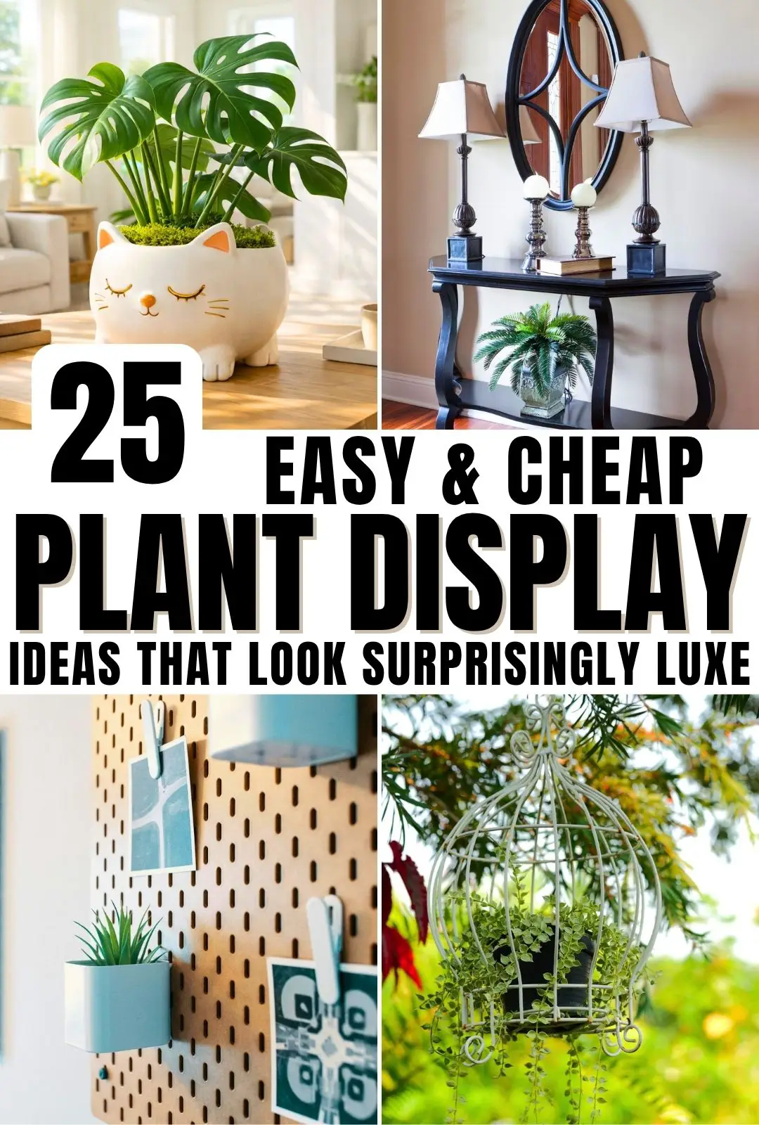 These 25 affordable plant display ideas prove you don’t need expensive decor to create a beautiful indoor jungle. Explore creative DIY plant stands, wall plant displays, and minimal plant styling ideas that look high-end but cost very little.